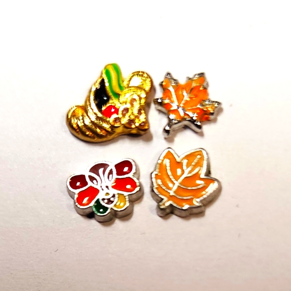 Thanksgiving/Fall charm lot